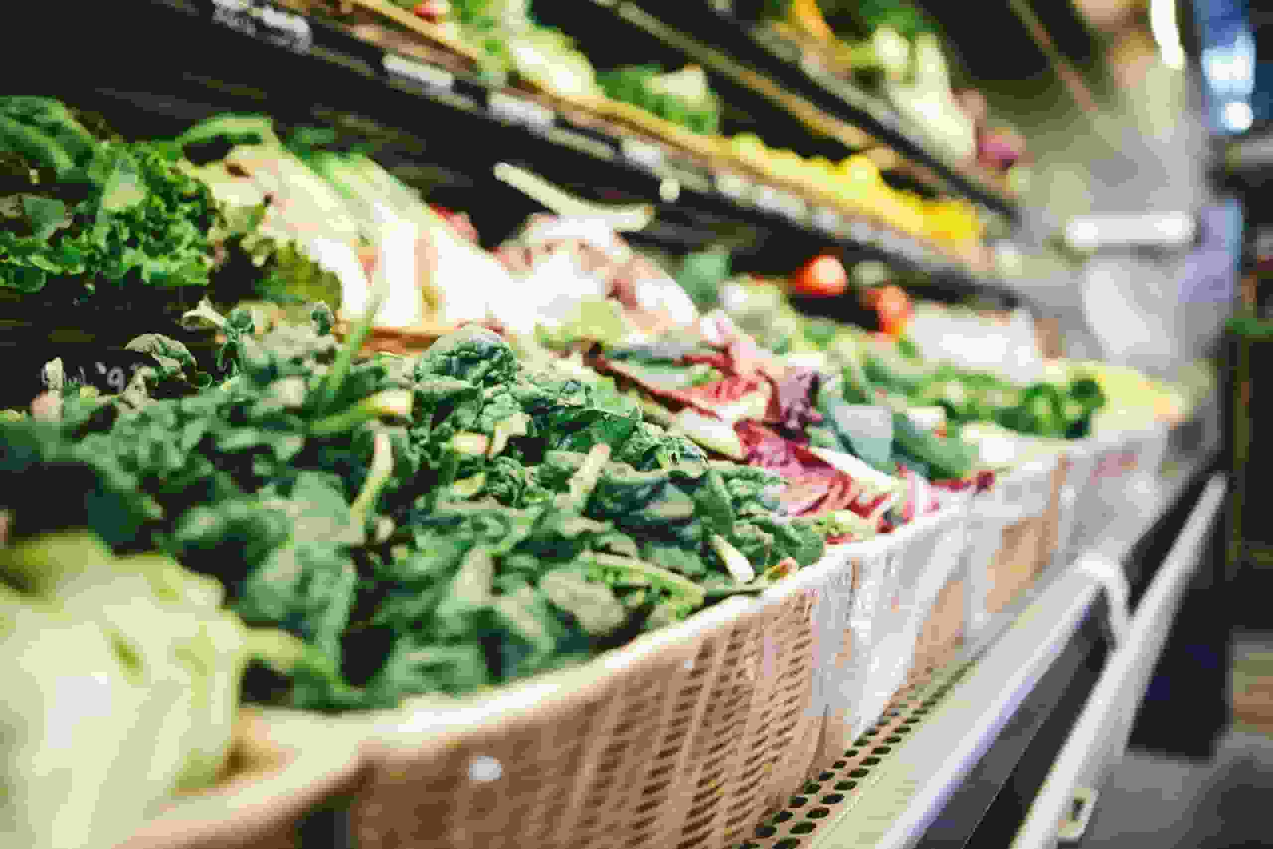 SNAP Benefits-Discounts-EBT-Ohio