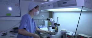Healthcare, Legal Issues, Reproductive Rights, US News, Newsbreak